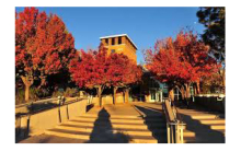 sandia field office